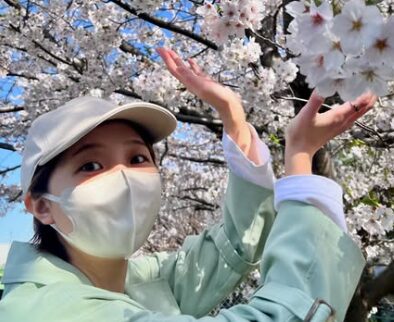 渡邊渚と桜